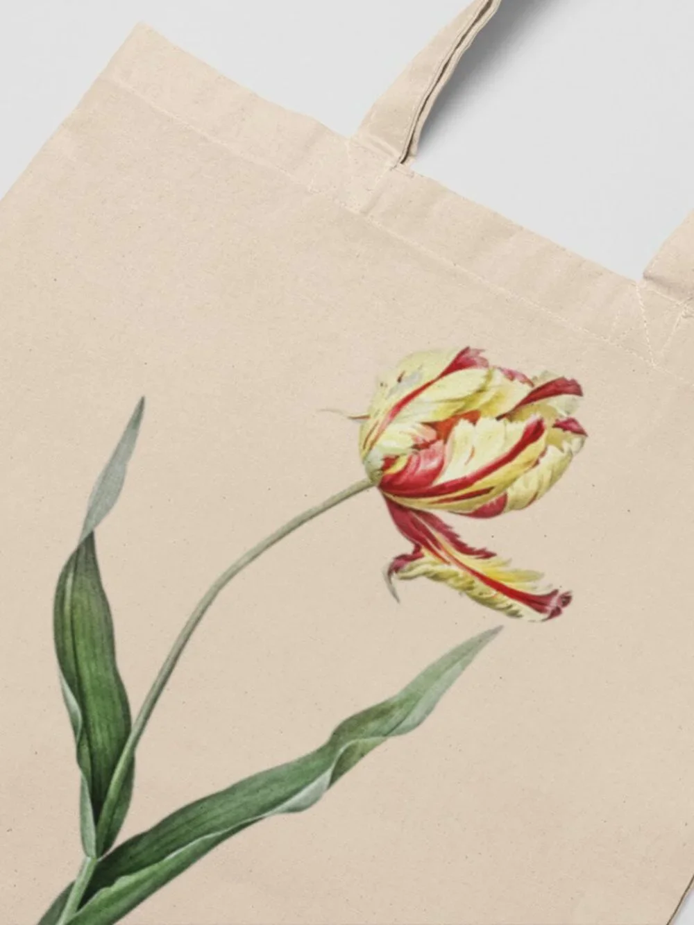 Didier's Tulip Vintage Floral Print Graphic Canvas Tote Bag